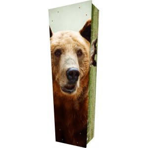 Stay Wild (Bear) - Personalised Picture Coffin with Customised Design.